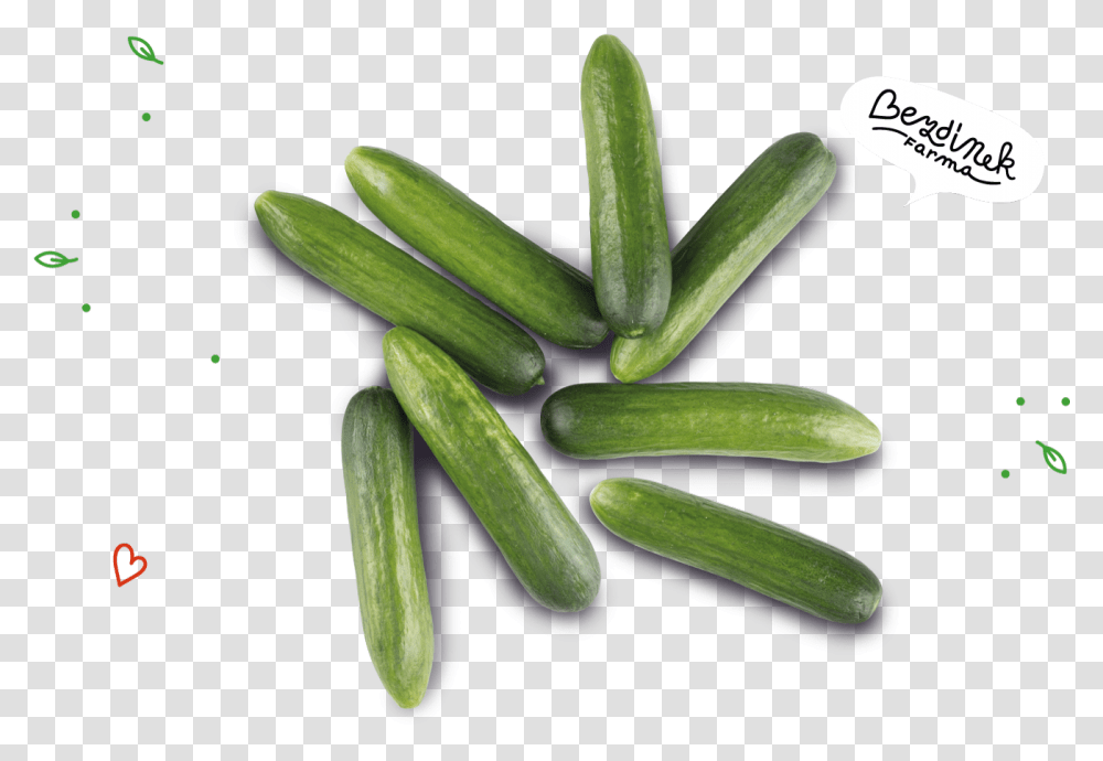 Pepino Cucumber, Plant, Vegetable, Food, Pickle Transparent Png
