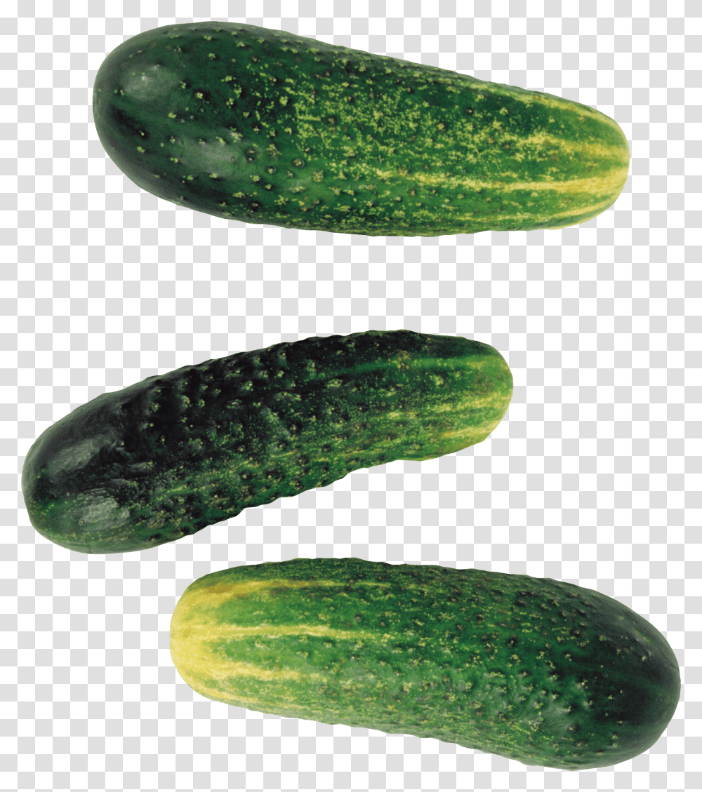 Pepino Pickled Cucumber, Plant, Food, Vegetable, Produce Transparent Png
