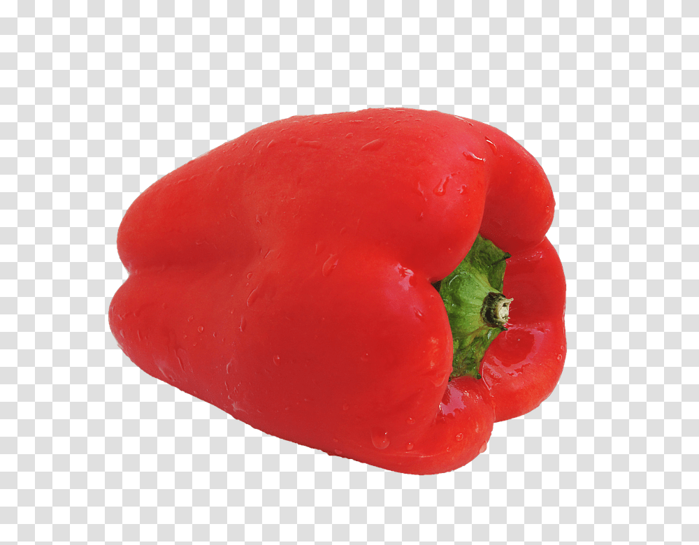 Pepper 960, Vegetable, Plant, Food, Bell Pepper Transparent Png