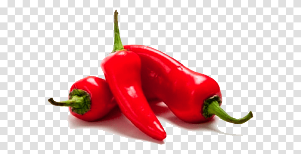 Pepper Background Chili Pepper, Plant, Vegetable, Food, Bell Pepper Transparent Png