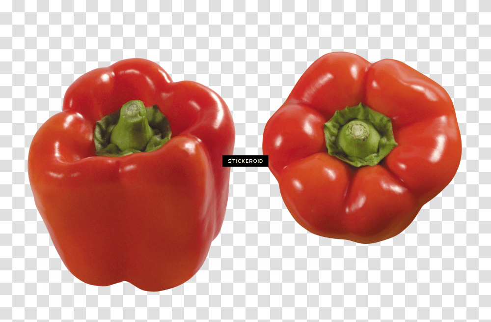 Pepper Bell Pepper Red Transparent Png