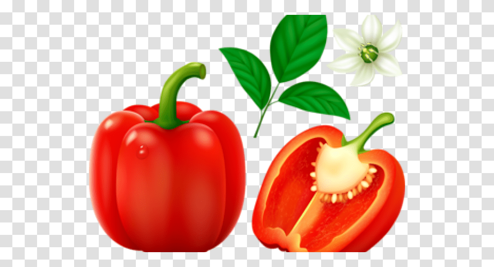 Pepper Clipart Different Kind Fruit Red Bell Pepper, Plant, Vegetable, Food Transparent Png