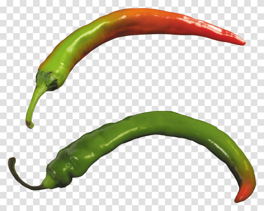 Pepper Clipart, Plant, Vegetable, Food, Bell Pepper Transparent Png