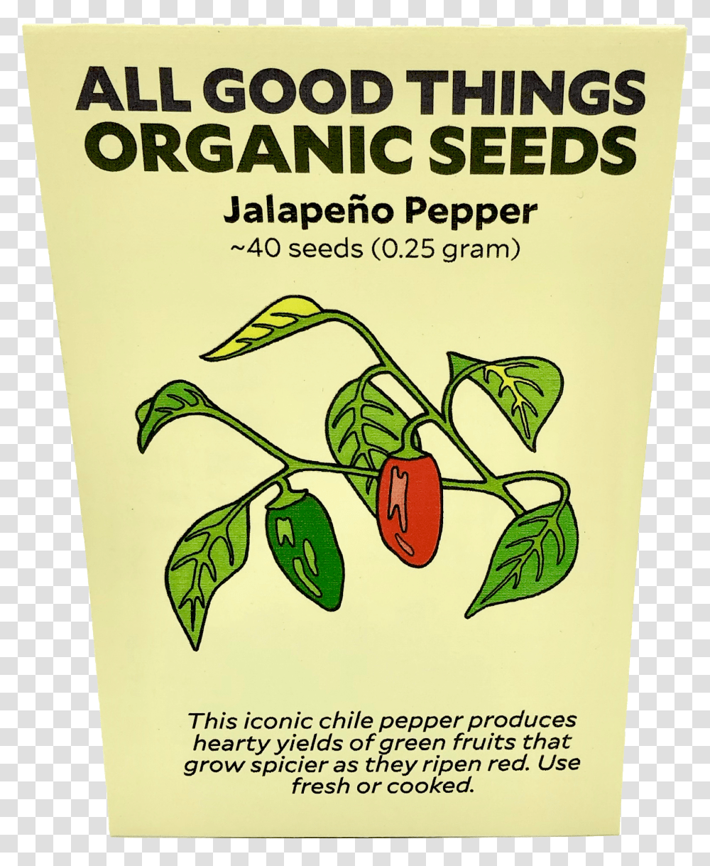 Pepper Holy Basil, Advertisement, Flyer, Poster, Paper Transparent Png