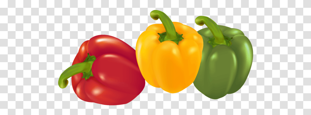 Pepper Image Free Download Searchpng Vegetables, Plant, Food, Bell Pepper Transparent Png