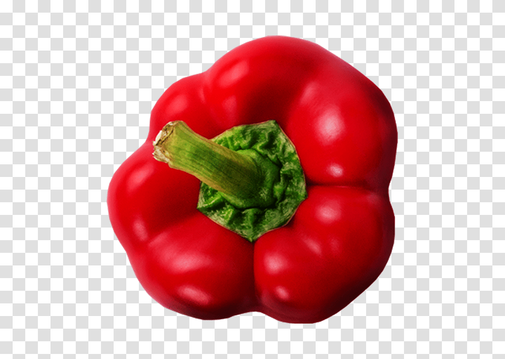 Pepper Image, Plant, Vegetable, Food, Bell Pepper Transparent Png