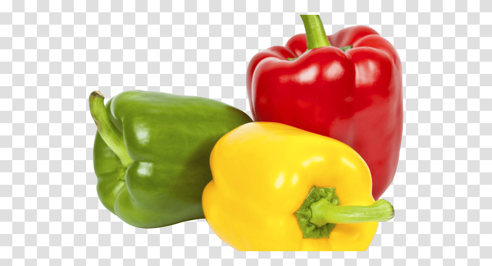 Pepper Images Bell Pepper Background, Plant, Vegetable, Food, Toy Transparent Png