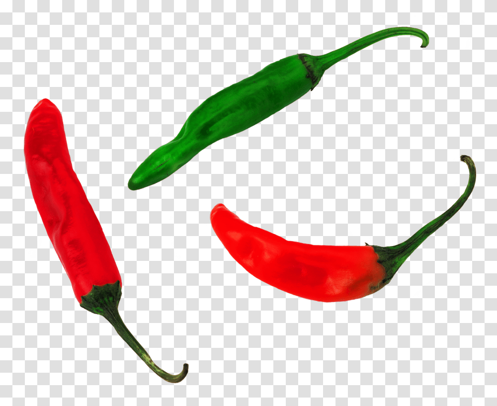 Pepper Plant Bird's Eye Chili, Vegetable, Food, Bell Pepper Transparent Png