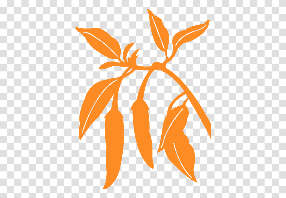 Pepper Plant Silhouette, Food, Vegetable, Carrot, Root Transparent Png