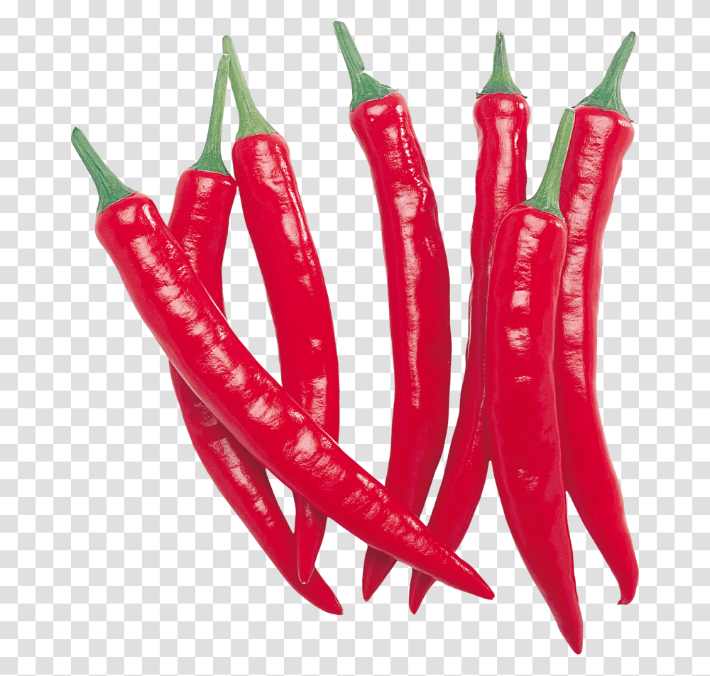 Pepper, Plant, Vegetable, Food, Bell Pepper Transparent Png