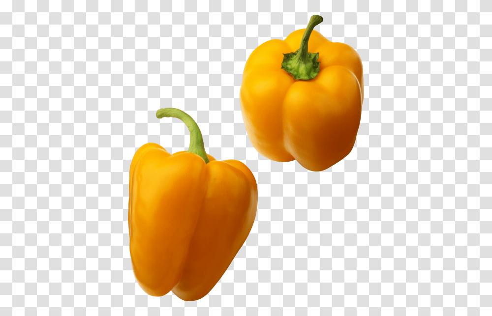 Pepper, Plant, Vegetable, Food, Bell Pepper Transparent Png