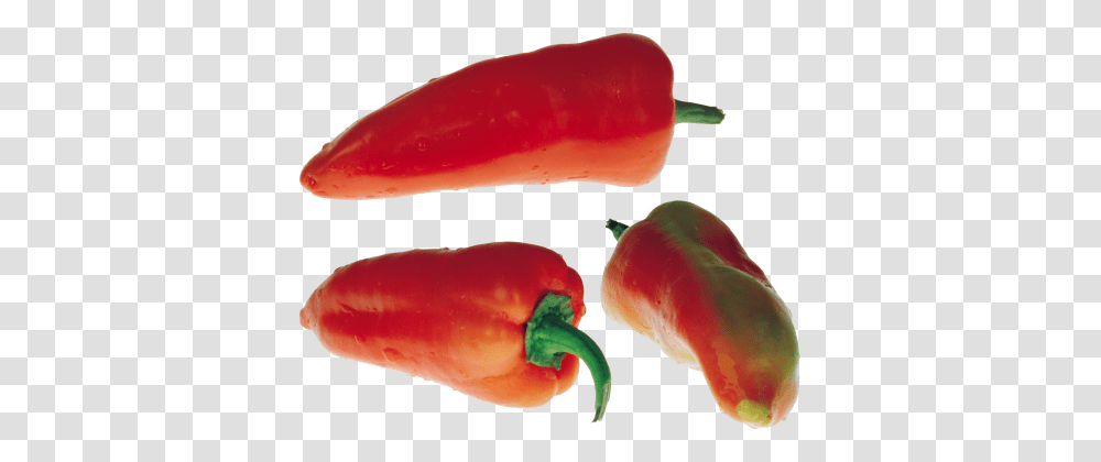 Pepper, Plant, Vegetable, Food, Fungus Transparent Png