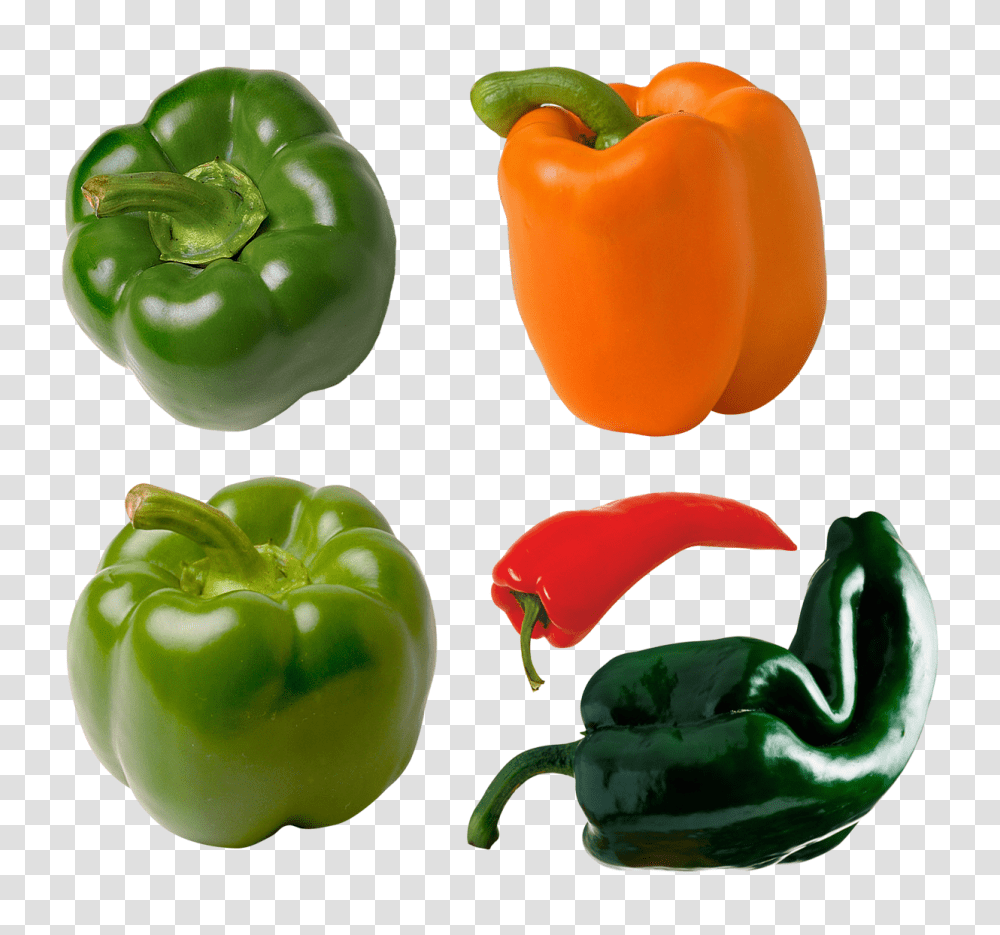 Pepper, Vegetable, Plant, Food, Bell Pepper Transparent Png