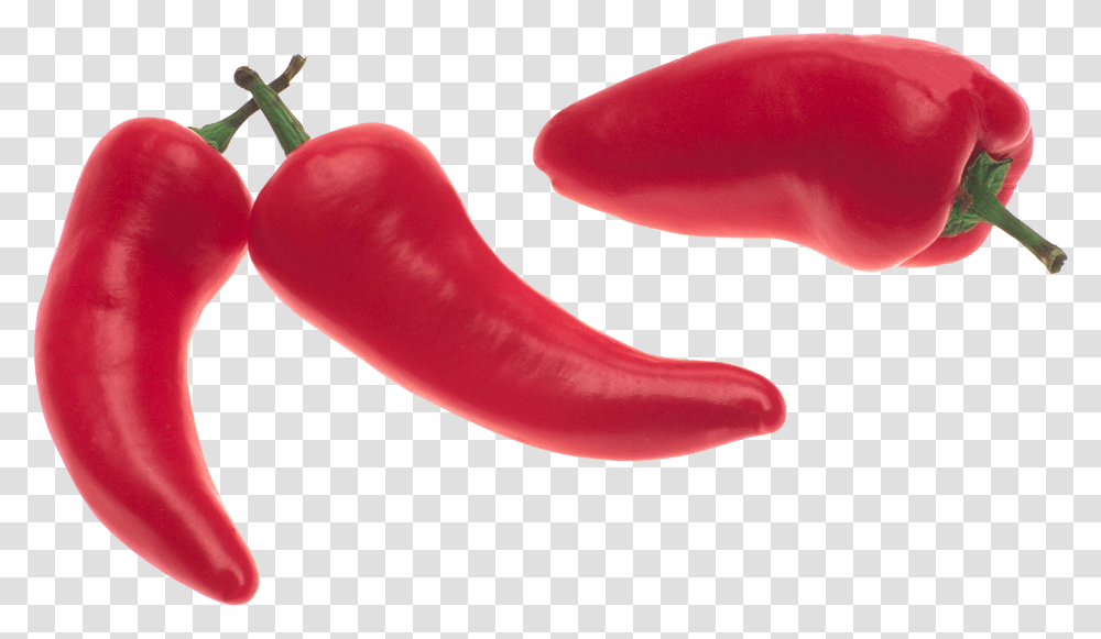 Pepper, Vegetable, Plant, Food, Bell Pepper Transparent Png