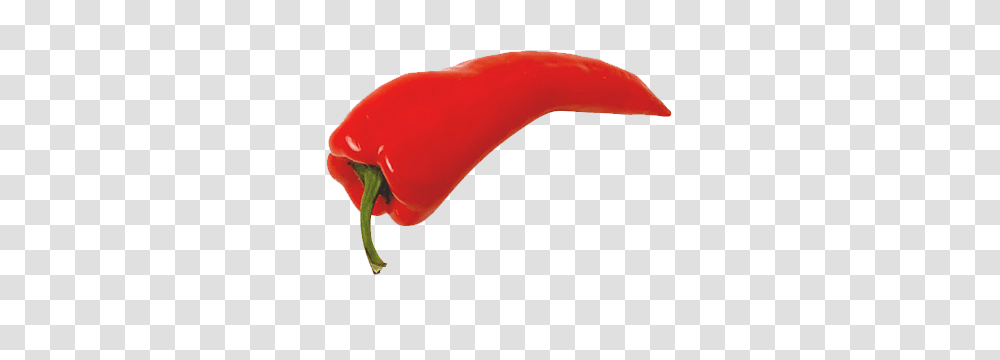 Pepper, Vegetable, Plant, Food, Bell Pepper Transparent Png