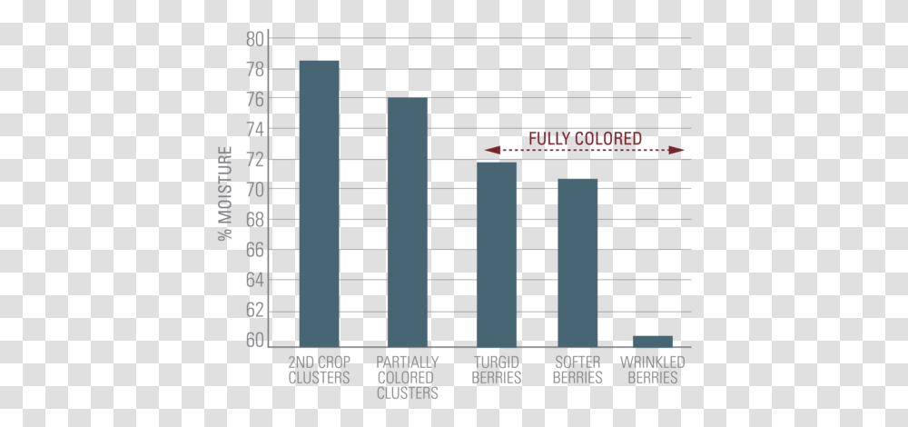 Percent Of Wine Is Water, Word, Number Transparent Png