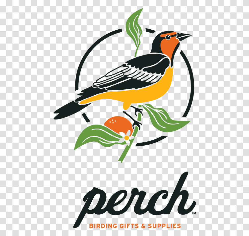 Perch Birding Gifts & Supplies All Things Bird Watching Western Tanager, Animal, Plant, Blackbird, Beak Transparent Png
