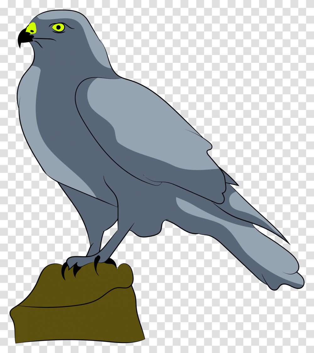 Perched Falcon Clip Arts Falcon Clipart Gif, Bird, Animal, Vulture, Blackbird Transparent Png