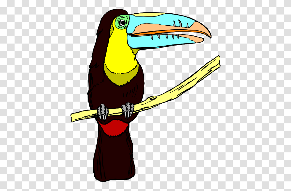 Perched Toucan Clip Art For Web, Beak, Bird, Animal Transparent Png