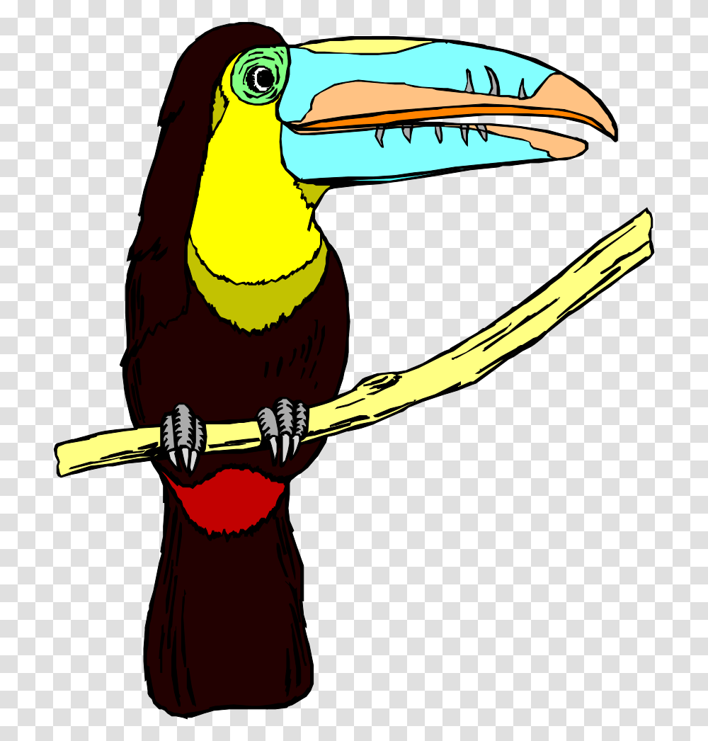 Perched Toucan Svg Clip Art For Toucans, Beak, Bird, Animal, Bee Eater Transparent Png