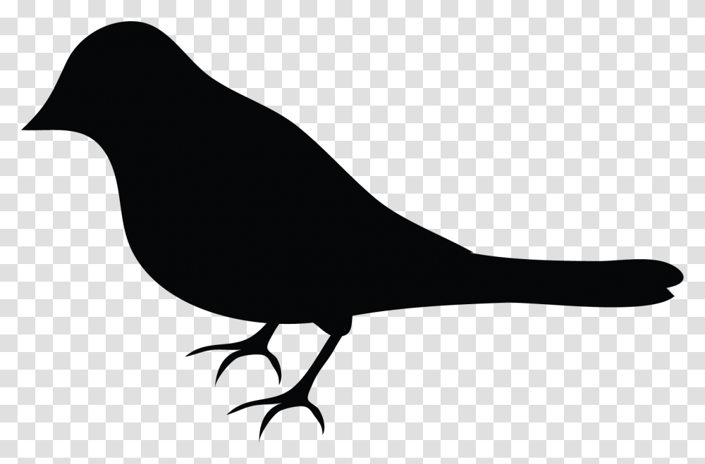 Perching Bird, Blackbird, Animal, Agelaius, Silhouette Transparent Png