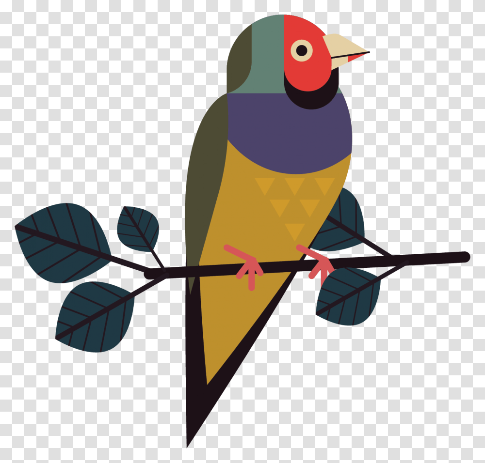 Perching Bird, Finch, Animal, Canary, Swallow Transparent Png