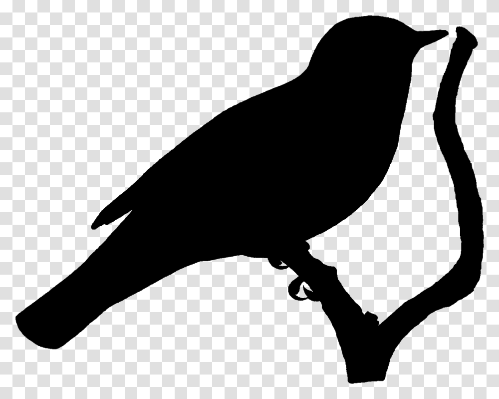 Perching Bird Silhouette, Nature, Outdoors, Astronomy, Outer Space Transparent Png