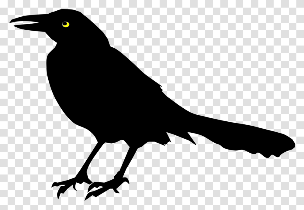 Perching Birdrooknew Caledonian Crow Black Bird Clipart, Outdoors, Nature, Astronomy, Outer Space Transparent Png