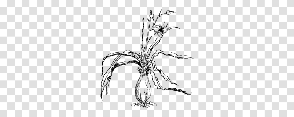 Perennial Nature, Gray, World Of Warcraft Transparent Png