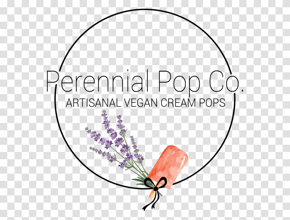 Perennial Flower, Plant, Blossom, Lavender Transparent Png