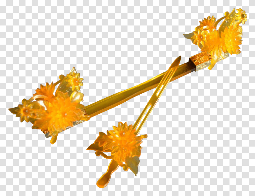 Perennial Sowthistle, Plant, Flower, Arrow Transparent Png