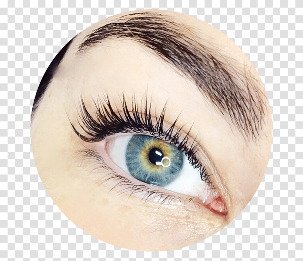 Perfect Eyebrows And Lashes With Closed Eyes Images Eyelash Extensions, Contact Lens, Person, Human Transparent Png