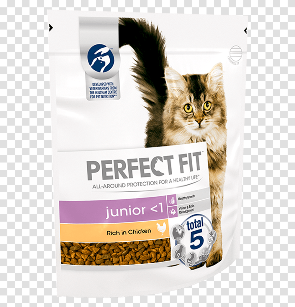 Perfect Fit Cat Food, Label, Pet, Mammal Transparent Png