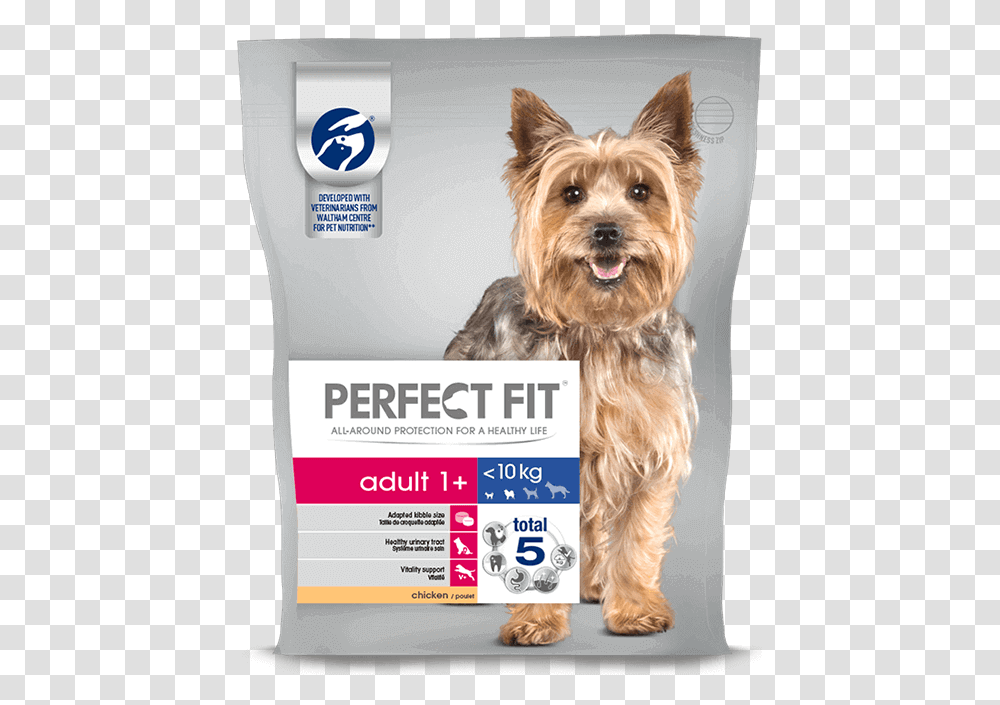 Perfect Fit Dog Food, Pet, Canine, Animal, Mammal Transparent Png