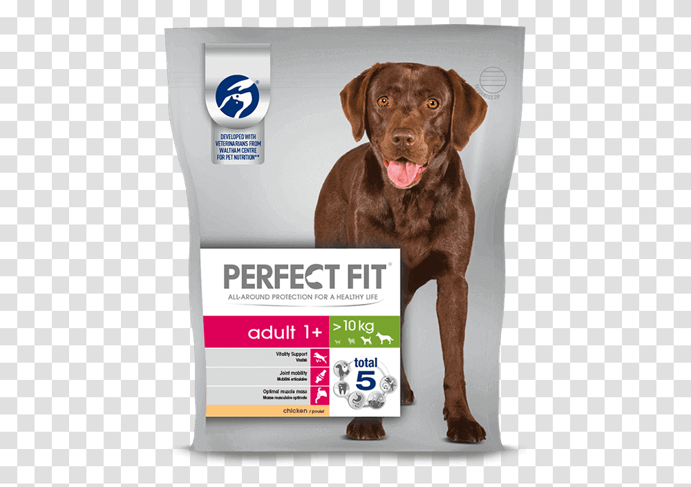 Perfect Fit Dog Food, Pet, Canine, Animal, Mammal Transparent Png