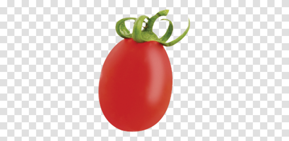 Perfect Harvest Plum Tomato, Plant, Vegetable, Food, Balloon Transparent Png