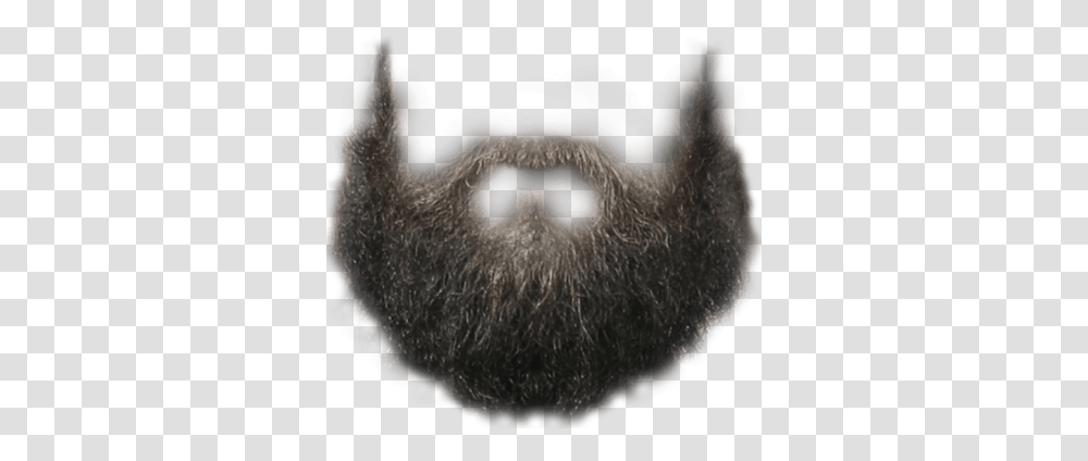 Perfect Hipster Beard Beard, Face, Snout Transparent Png