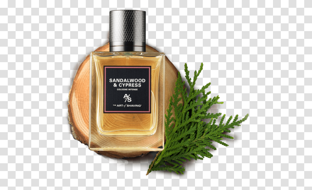 Perfume, Bottle, Cosmetics, Aftershave Transparent Png