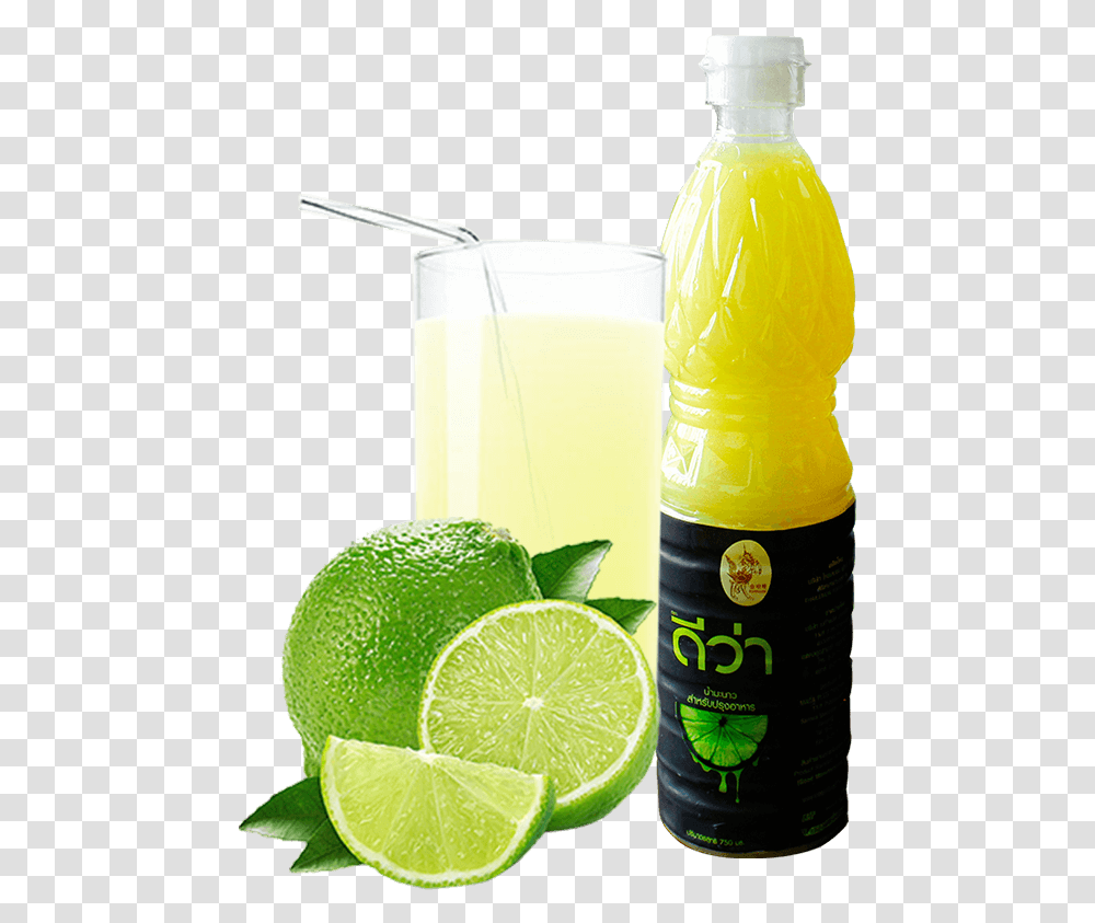 Perfumers Apprentice Key Lime, Citrus Fruit, Plant, Food, Beverage Transparent Png