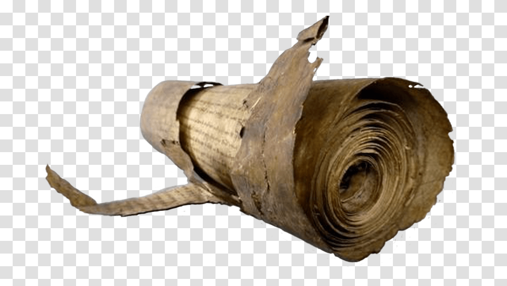 Pergamino Enrollado Rolled Up Parchment, Plant, Food Transparent Png