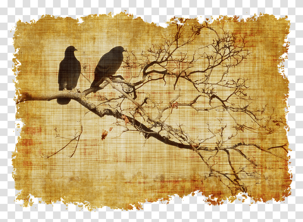 Pergaminos Antiguos Para Escribir, Bird, Animal, Accipiter, Painting Transparent Png