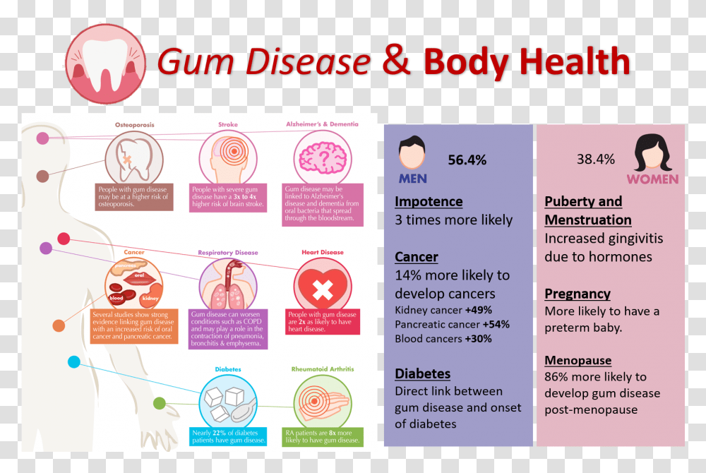 Periodontitis And Body Periodontal Disease Body Health, Poster, Advertisement, Flyer, Paper Transparent Png