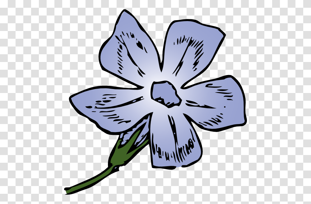 Periwinkle Bloom Clipart For Web, Plant, Flower, Blossom, Petal Transparent Png