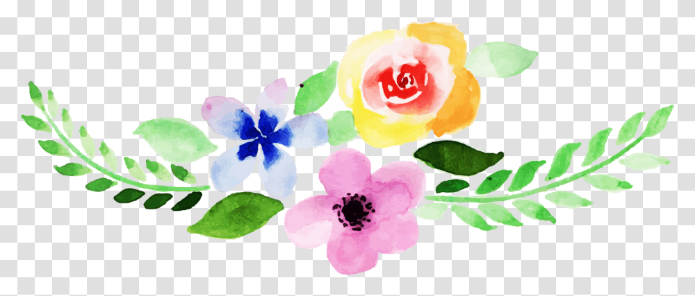 Periwinkle, Plant, Flower, Petal Transparent Png