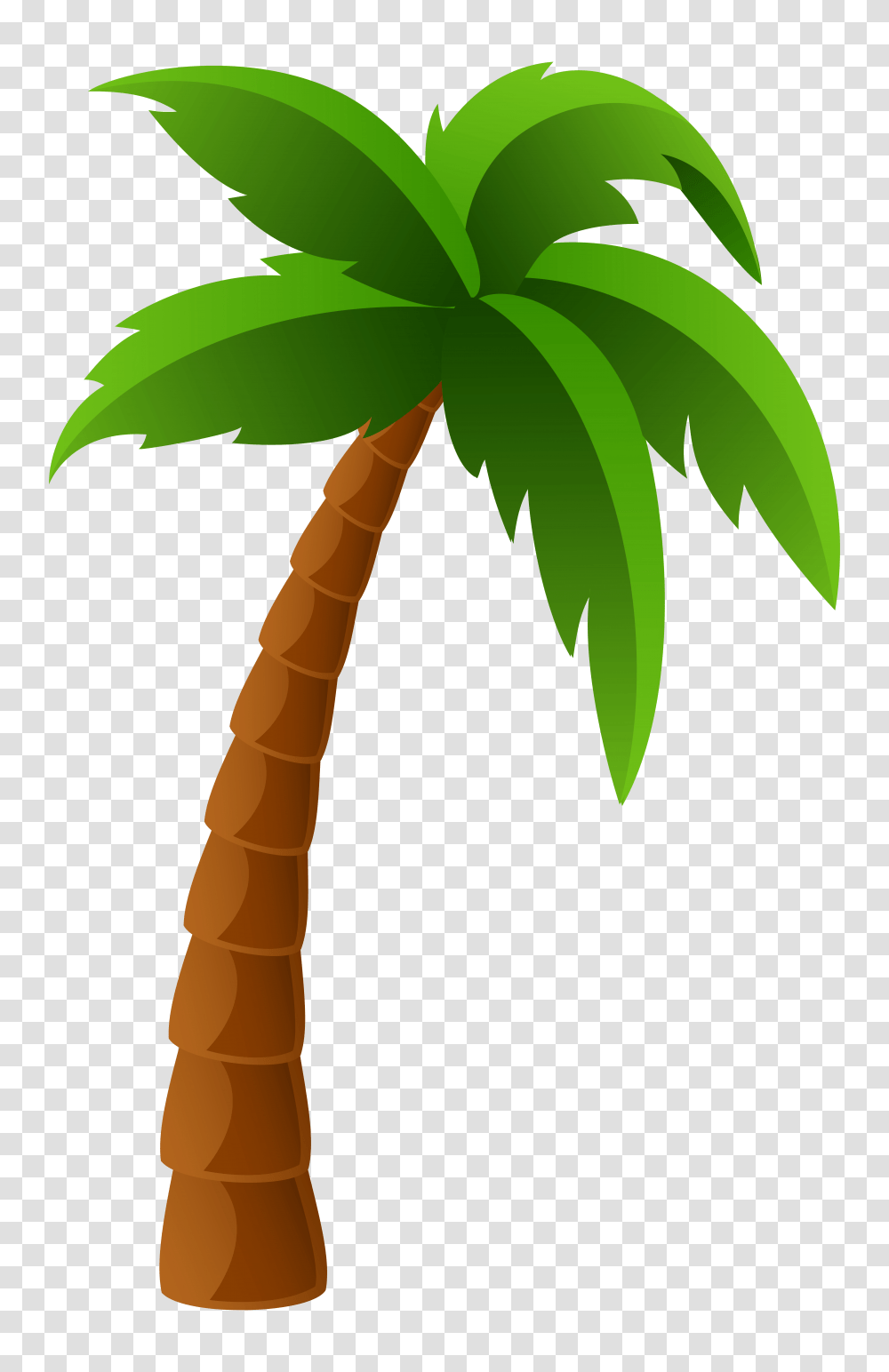 Permalink To Palm Clipart Pencil Palm Tree Clipart, Plant, Vegetable, Food, Arecaceae Transparent Png