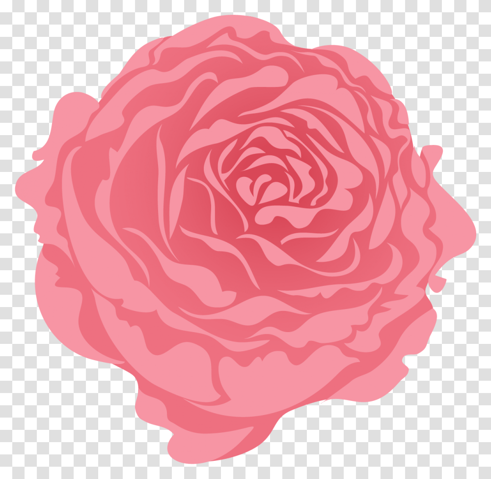 Persian Buttercup, Plant, Flower, Blossom, Rose Transparent Png