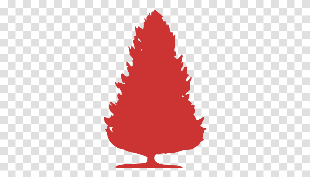 Persian Red Tree 64 Icon Tree, Plant, Ornament, Person, Human Transparent Png