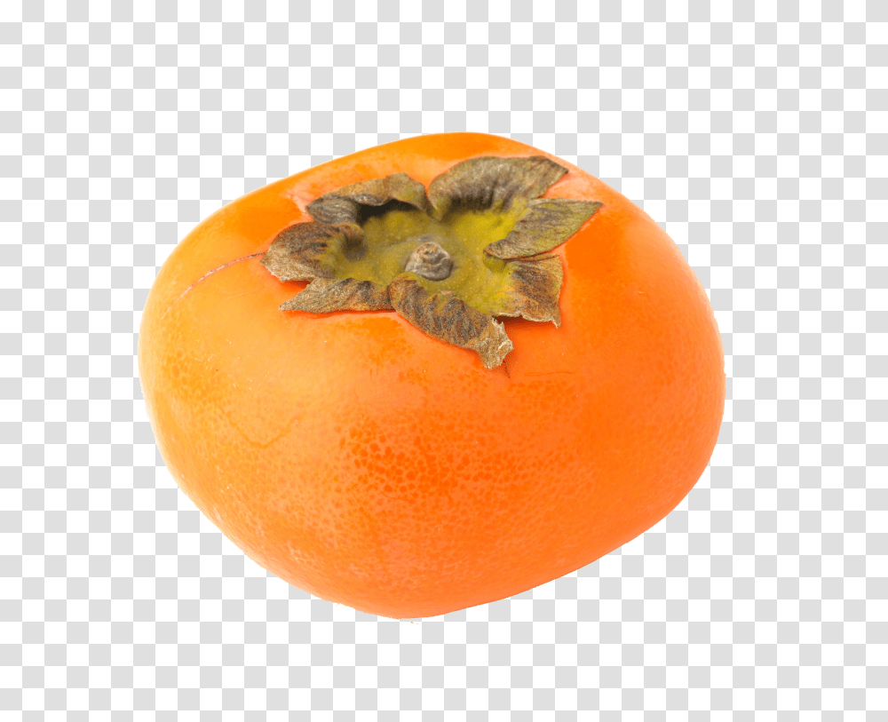 Persimmon, Fruit, Orange, Citrus Fruit, Plant Transparent Png