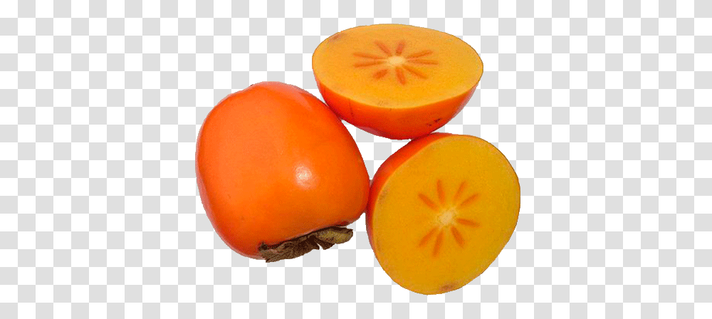 Persimmon, Fruit, Orange, Citrus Fruit, Plant Transparent Png