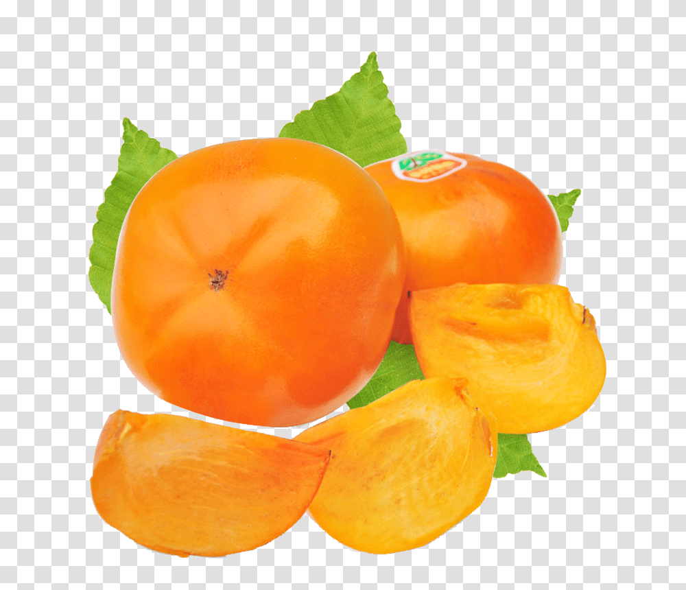 Persimmon, Fruit, Plant, Orange, Citrus Fruit Transparent Png